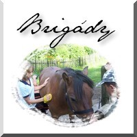 Brigdy